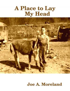 Cover of the book A Place to Lay My Head by Ed Russo