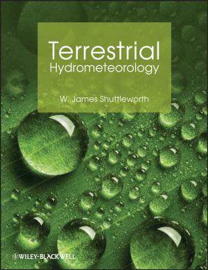 Cover of the book Terrestrial Hydrometeorology by Abdelkhalak El Hami, Bouchaib Radi