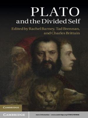 Cover of the book Plato and the Divided Self by Paddy Bullard
