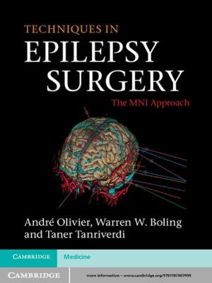 Cover of the book Techniques in Epilepsy Surgery by Stephen B. Dobranski