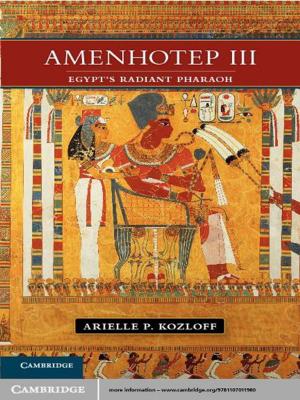 Cover of the book Amenhotep III by Andreas Cahn, David C. Donald