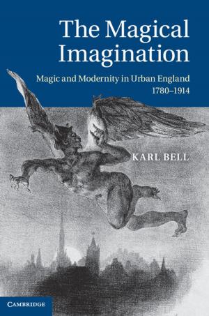 Cover of the book The Magical Imagination by Erik Schokkaert, Wulf Gaertner