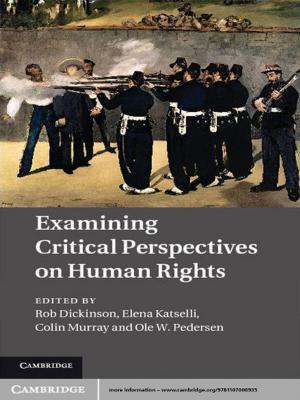 Cover of the book Examining Critical Perspectives on Human Rights by David B. Scott, Jennifer Frail-Gauthier, Petra J. Mudie