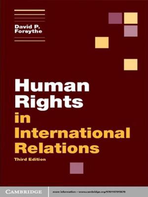 Cover of the book Human Rights in International Relations by R. Edward Freeman, Jeffrey S. Harrison, Andrew C. Wicks, Bidhan L. Parmar, Simone de Colle