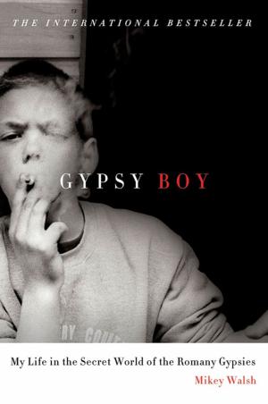 Cover of the book Gypsy Boy by Christine Warren