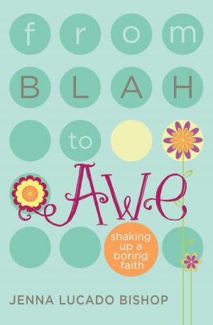 Cover of the book From Blah to Awe by Paula White