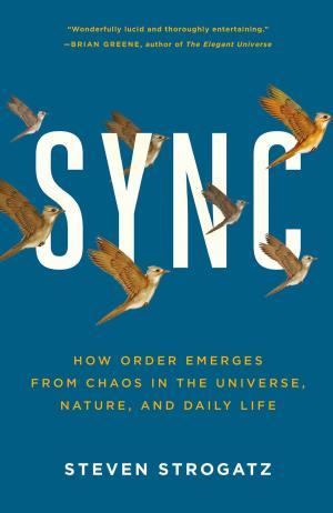Cover of the book Sync by Ellyn Spragins