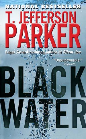 Cover of the book Black Water by Donna Joy Usher
