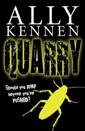 Cover of the book Quarry by Sue Wallman