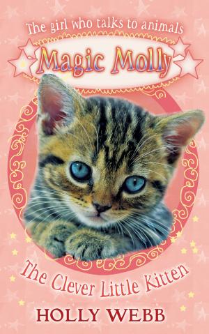 Cover of the book Magic Molly: The Clever Little Kitten: World Book Day 2012 by Lou Kuenzler