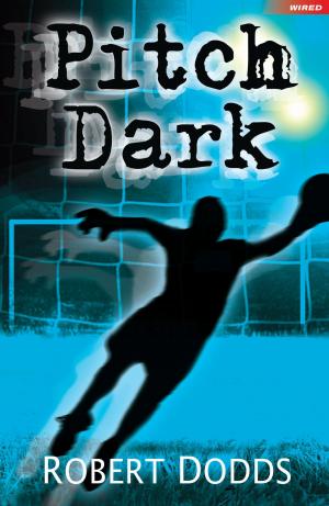 Cover of the book Pitch Dark by Ester Herlin-Karnell