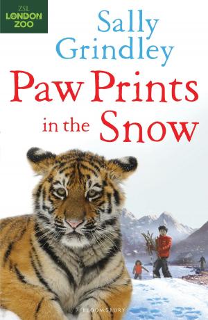 Cover of the book Paw Prints in the Snow by Monisha Rajesh