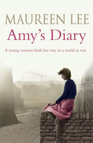 Book cover of Amy's Diary
