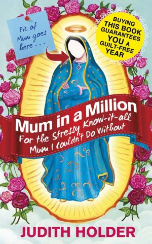 Cover of the book Mum in a Million by Tricia Sullivan
