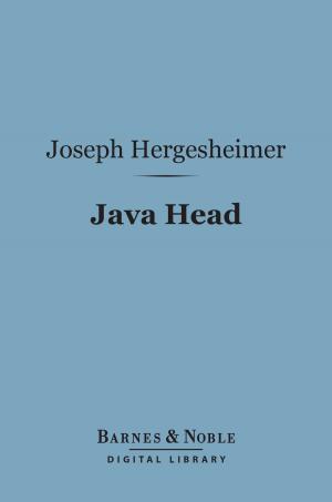 bigCover of the book Java Head (Barnes & Noble Digital Library) by 