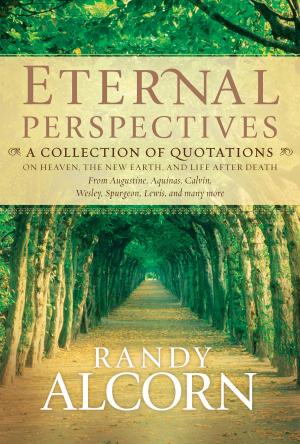 Cover of the book Eternal Perspectives by Jan Watson