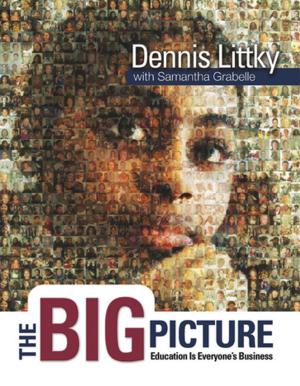 Cover of the book The Big Picture by Joseph DiMartino, John H. Clarke