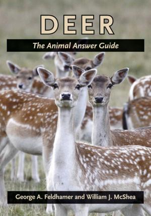 Cover of the book Deer by Michael Olesker