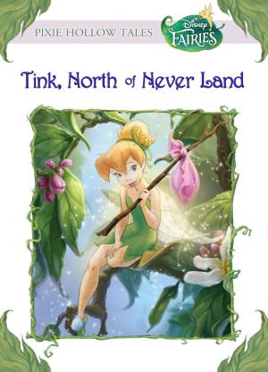 Book cover of Disney Fairies: Tink, North of Never Land
