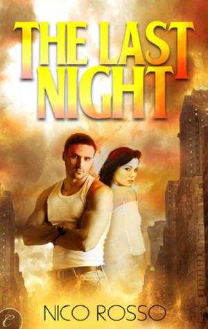 Cover of the book The Last Night by Ginny Glass, Christina Thacher, Emily Cale, Maggie Wells
