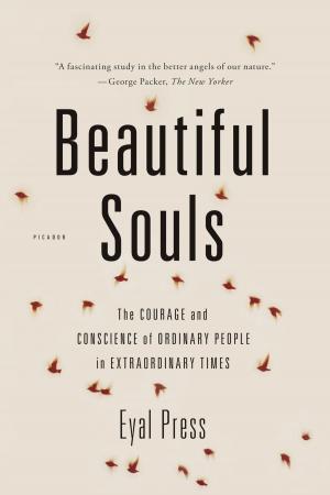 Cover of the book Beautiful Souls by Seamus Heaney