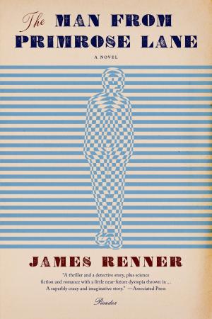 Cover of the book The Man from Primrose Lane by Joe Eck, Wayne Winterrowd