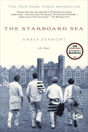 Cover of the book The Starboard Sea by Robert Schnakenberg
