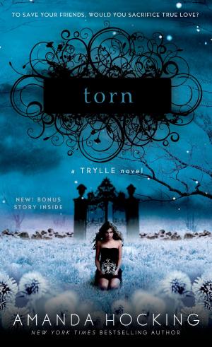 Cover of the book Torn by Matt Braun