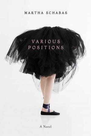 Cover of the book Various Positions by Gennifer Albin