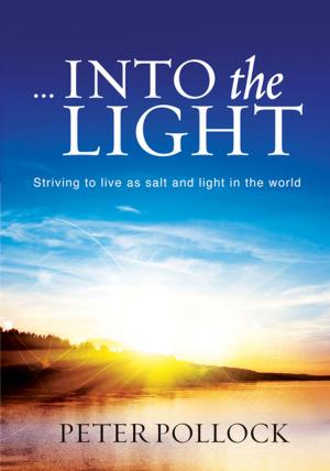 Cover of the book ... Into the Light (eBook) by Jan van der Watt