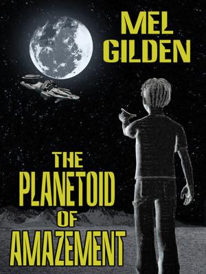 Cover of the book The Planetoid of Amazement: A Science Fiction Novel by Bryce O'Connor
