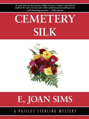 Cover of the book Cemetery Silk: A Paisley Sterling Mystery #1 by A.R. Morlan