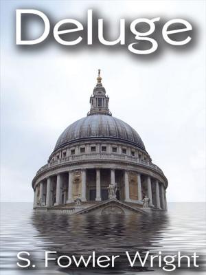 Cover of the book Deluge: A Novel of Global Warming by Darrell Schweitzer, Adrian Cole