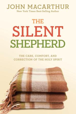 Cover of the book The Silent Shepherd by Stephen Arterburn, Robert Wise