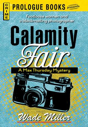 Cover of the book Calamity Fair by Avram Davidson