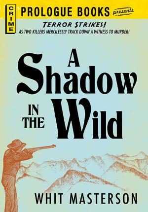 Cover of the book A Shadow in the Wild by Corey Sandler, Janice Keefe