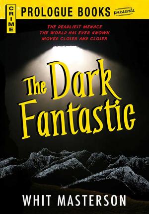 Cover of the book The Dark Fantastic by Stacy Tornio