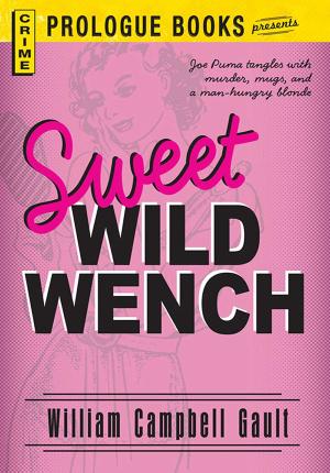 Cover of the book Sweet Wild Wench by Jed Stone