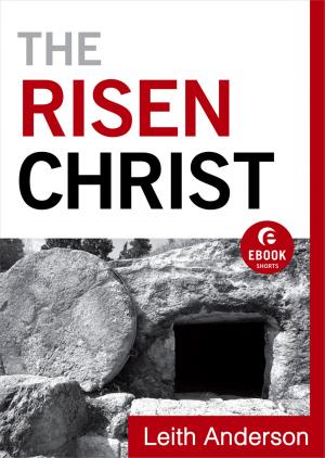 Cover of the book The Risen Christ (Ebook Shorts) by Delia Parr