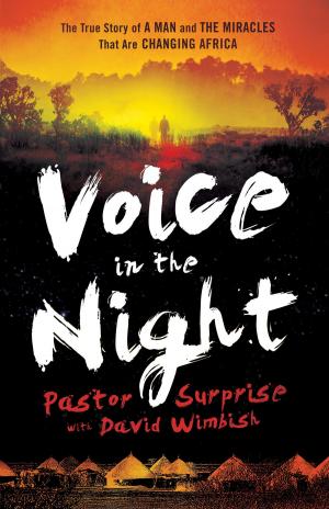 bigCover of the book Voice in the Night by 