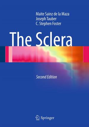 Cover of the book The Sclera by Edward Beltrami