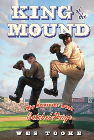 Cover of the book King of the Mound by Jon Scieszka