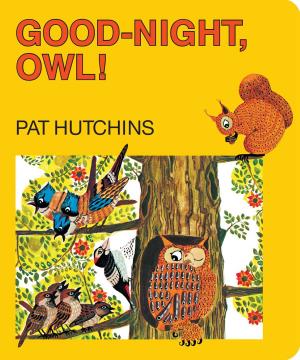 Cover of the book Good Night, Owl! by Karsten Knight