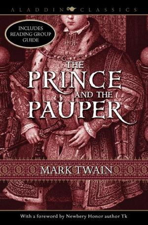 Cover of the book The Prince and the Pauper by John Christopher