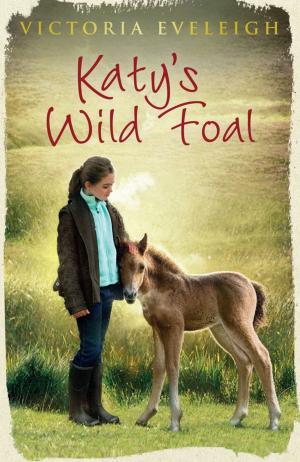 Cover of the book Katy's Wild Foal by Jan Burchett, Sara Vogler
