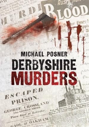 Cover of the book Derbyshire Murders by Martin Wall