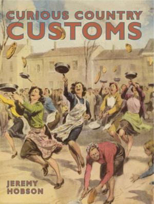 Cover of the book Curious Country Customs by Robert Lee Brewer