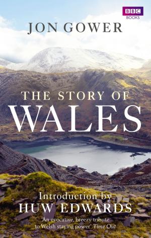 Cover of the book The Story of Wales by Glennyce S. Eckersley