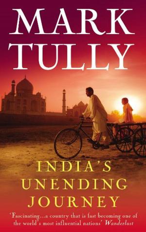 Cover of the book India's Unending Journey by Aishling Morgan