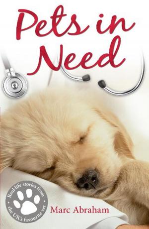 Cover of the book Pets in Need by Sylvia Waugh